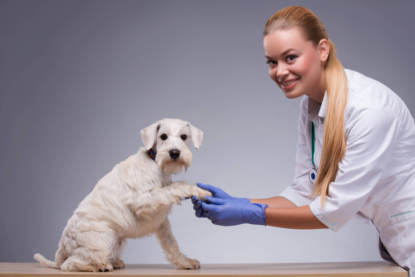 Ashland Terrace Animal Hospital
